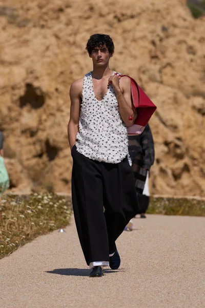Look 33